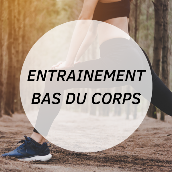 Entraînement: Bas du corps